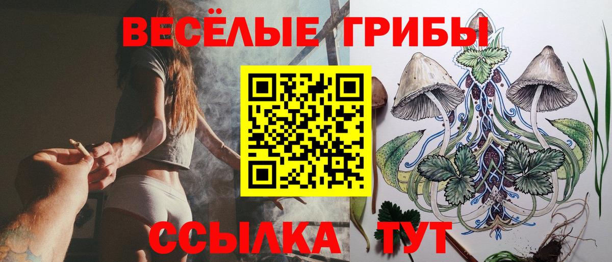 Псилоцибиновые грибы Cubensis  Вход с VPN  наркошоп  Тимашёвск 